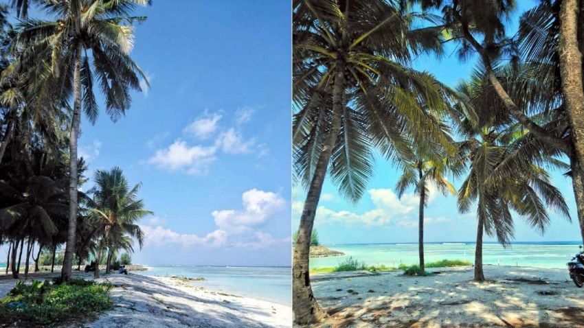 Tranquilidad. Un bosque de palmeras junto a la playa, un mar turquesa maravilloso. Ambas imágenes son de la isla de Hulhumale.