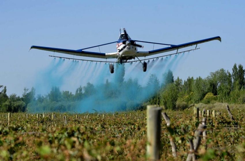 
    Buenas prácticas. Aseguran que esta normativa mejorará la calidad de los productos mendocinos.
   