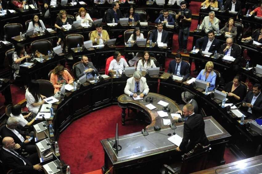 Guzmán expone ante Diputados. / Clarín