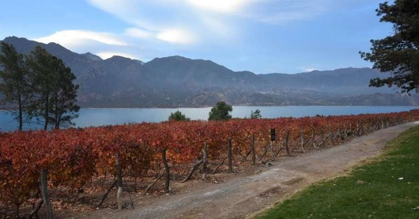 
    Potrerillos. Foto: archivo Los Andes.
   