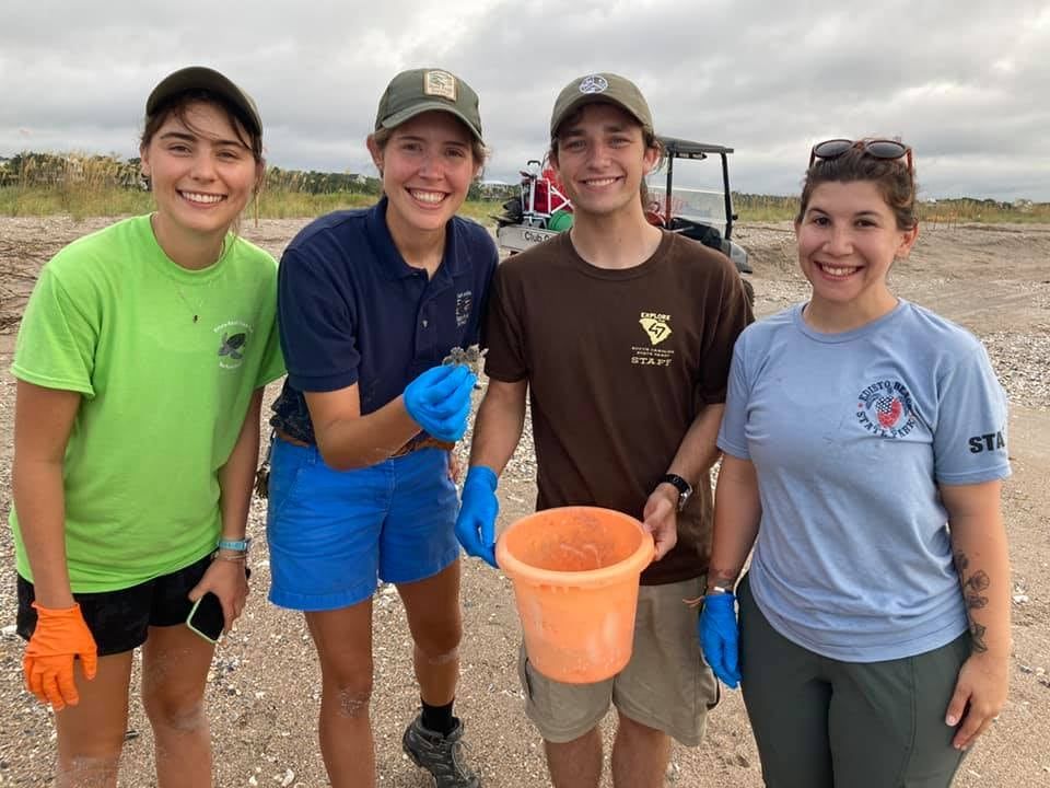 Un grupo de conservacionistas encontró a una tortuga mutante.