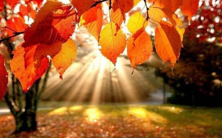 Comienza el otoño.