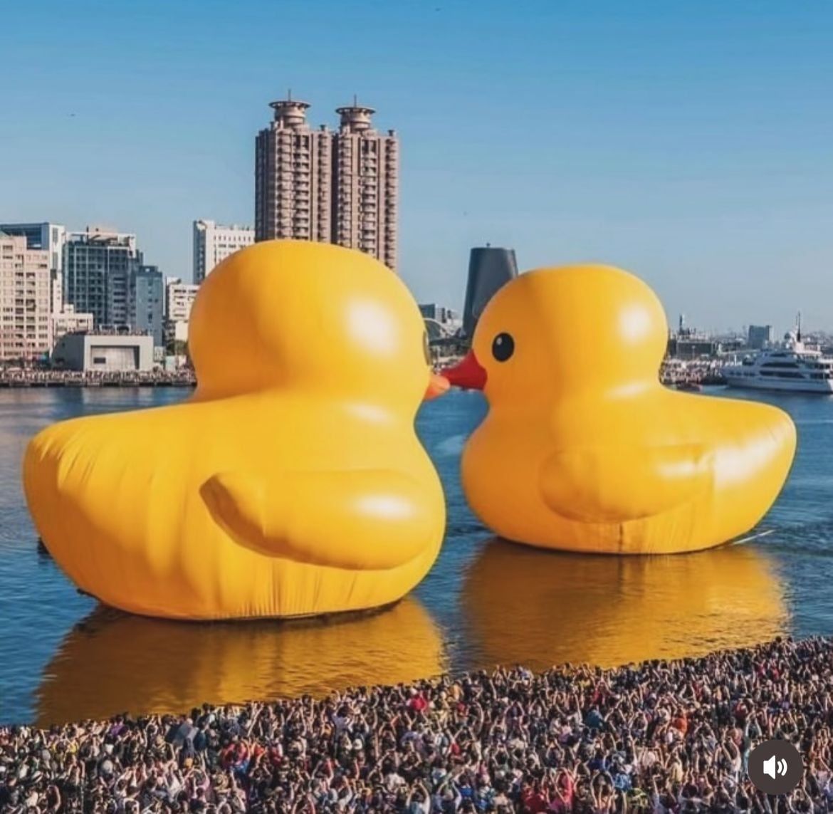 Obra de Florentijn Hofman.
Foto: @studioflorentijnhofman