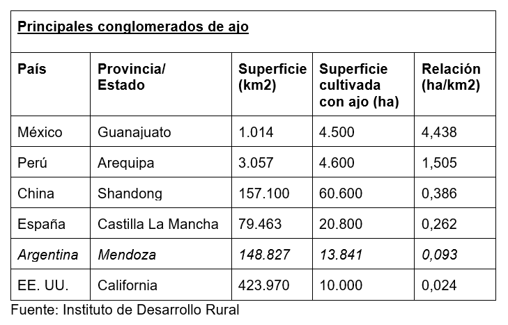 Si se analiza la relación entre hectáreas de ajo y cantidad de kilómetros cuadrados, Mendoza ocupa el quinto lugar mundial.