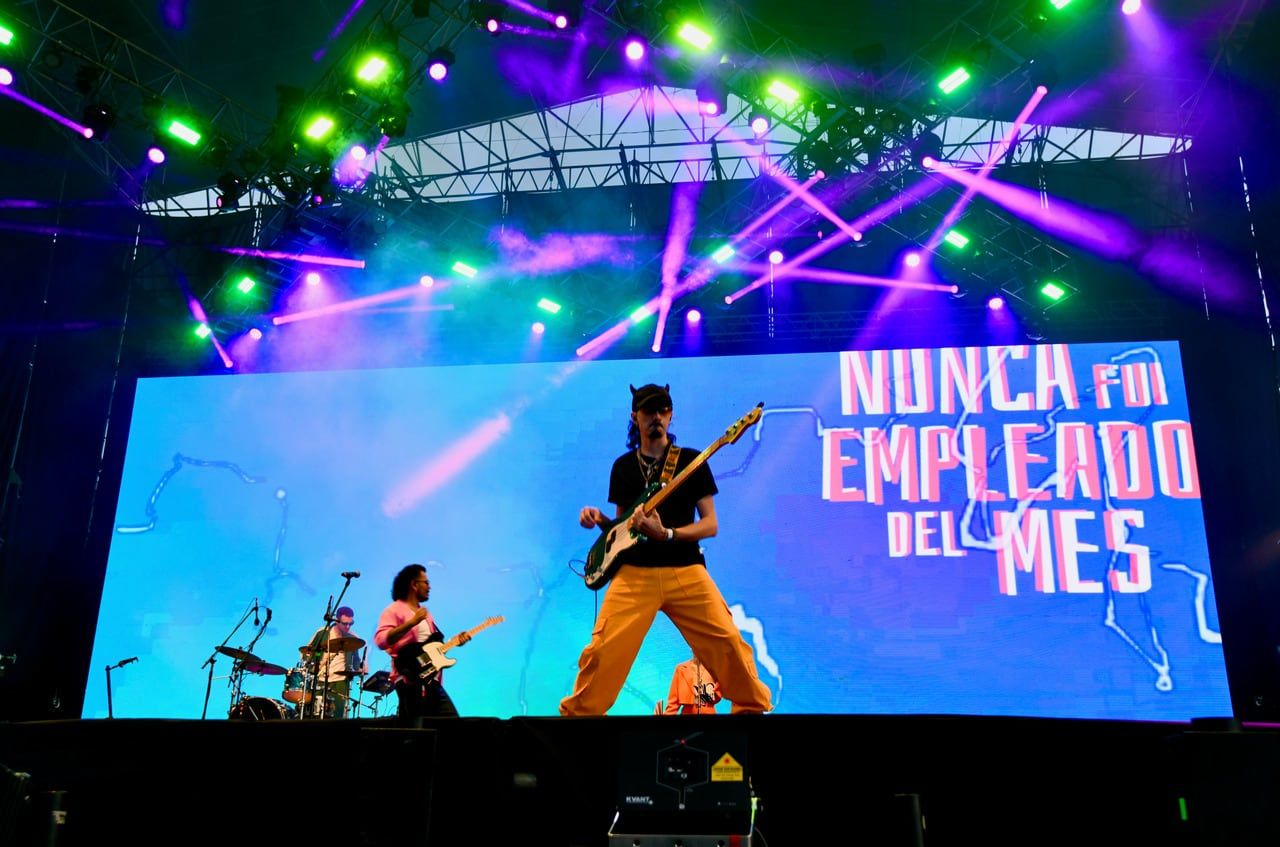 Fiesta provincial de la Cerveza