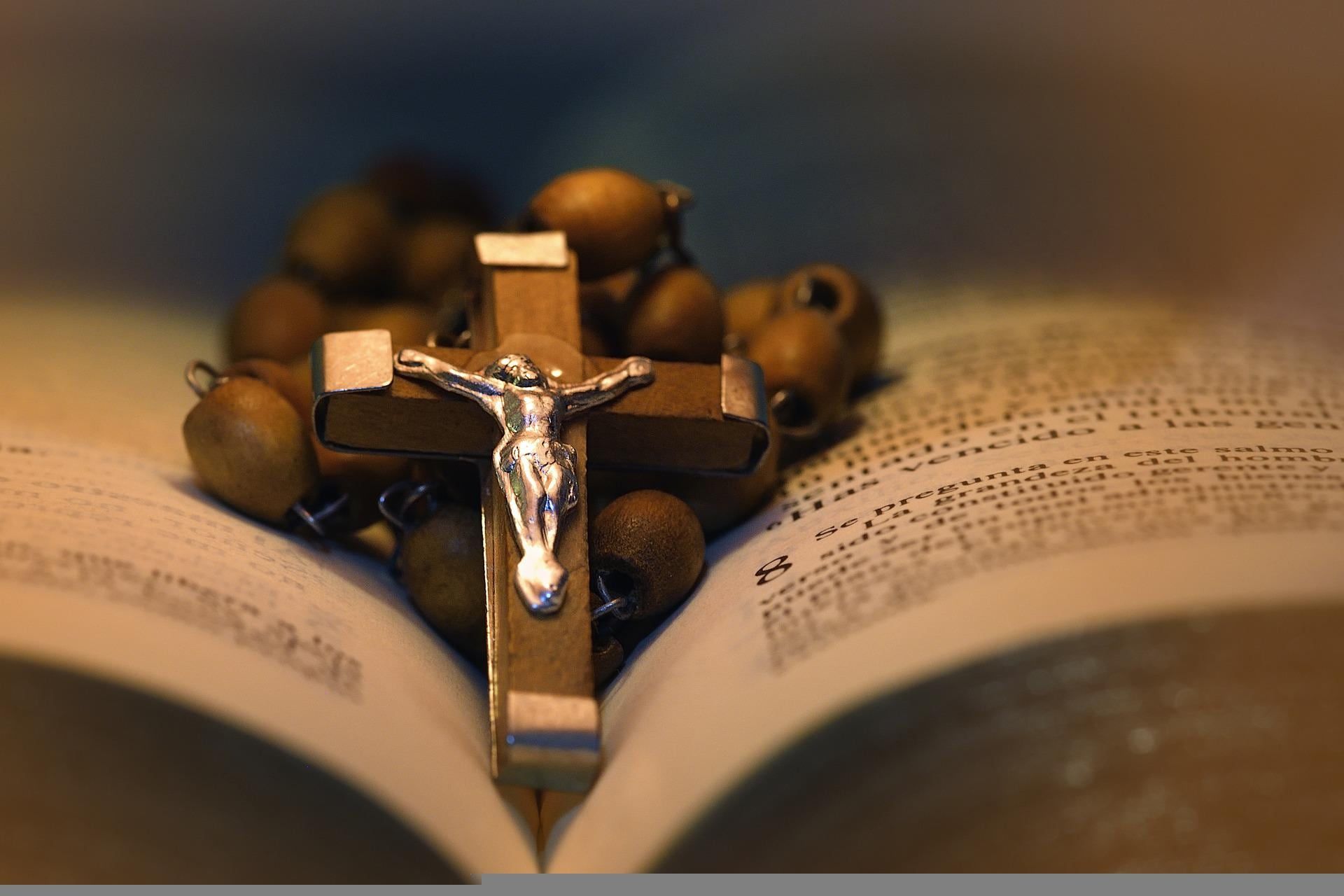 EVANGELIO DE HOY, 18 DE JULIO