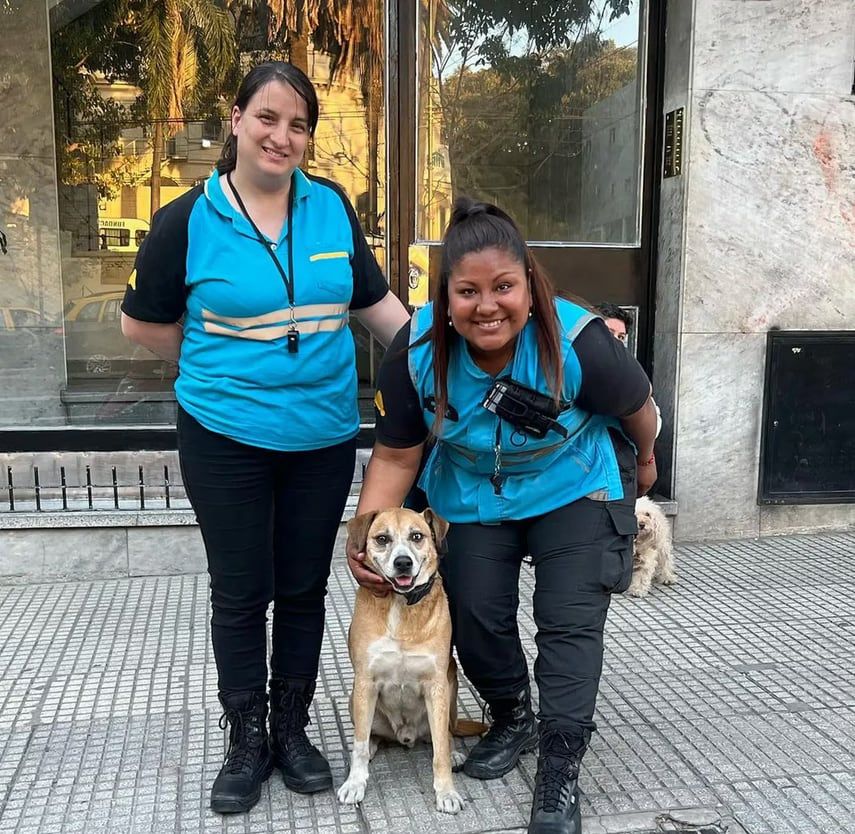 Un perro mestizo se convirtió en oficial mayor de la Policía y en el alma del barrio. Foto TN