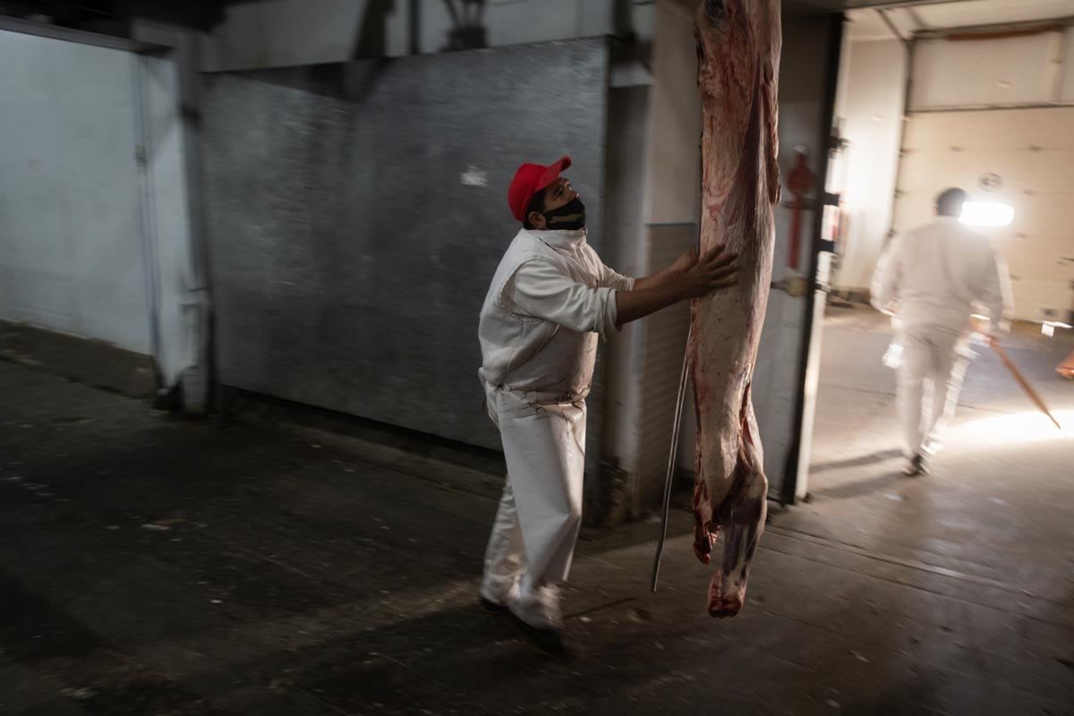 El Gobierno oficializó por decreto el nuevo esquema de exportación de carne vacuna hasta 2023 - Foto: Ignacio Blanco / Los Andes