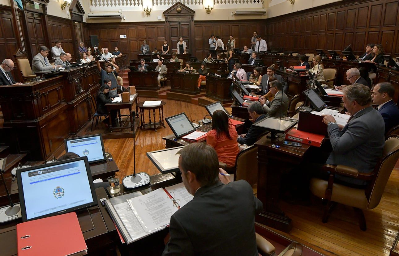 Legislatura Provincial, Cámara de Senadores, Debate por Cerro AmarilloFoto: Orlando Pelichotti