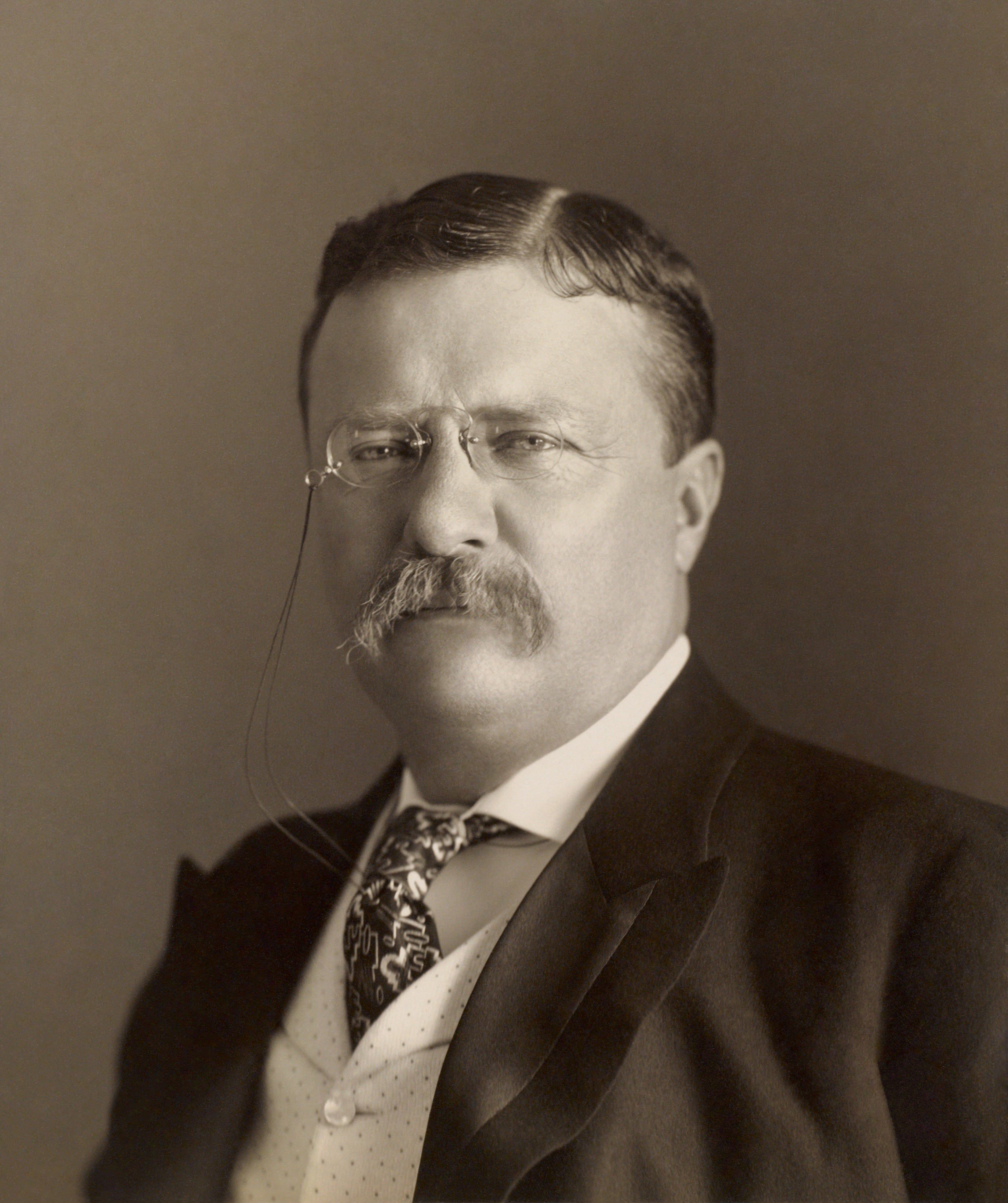 Roosevelt fue un estadista, militar, conservacionista, naturalista, historiador, escritor y político estadounidense que se desempeñó como el vigésimo sexto presidente de los Estados Unidos desde 1901 hasta 1909.