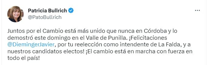 Juntos por el Cambio celebró el triunfo Dieminger - Twitter