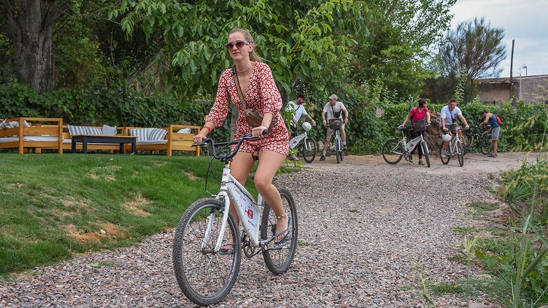 Turismo enológico. De diferentes paises llegan turistas a la provincia de Mendoza, una de las principales actividades es la visita a bodegas donde ademas de degustar diferentes variedades pueden realizar recorridos por los viñedos de las mismas, tambien alguna ofrecen un menú para almorzar.   Foto: Mariana Villa / Los Andes