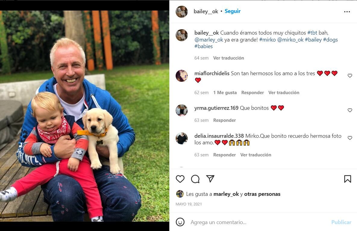 Los perros de los amosos tienen sus propias cuentas de Instagram con miles de seguidores