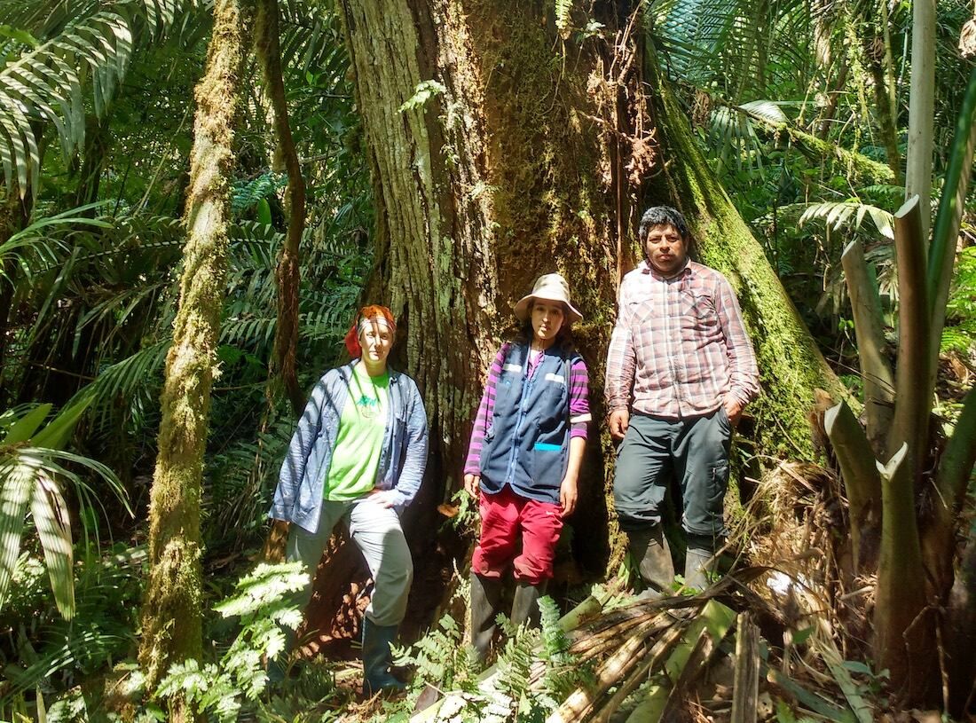 La doctora María Eugenia Ferrero (izq) trabajando en los bosques montanos junto a colegas peruanos.