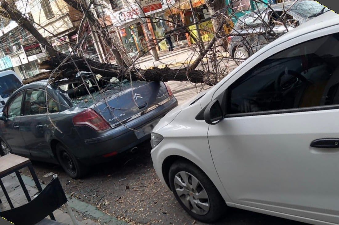 Un auto estacionado sobre calle San Juan de Ciudad fue aplastado por un árbol que cayó por las fuertes ráfagas de viento Zonda.