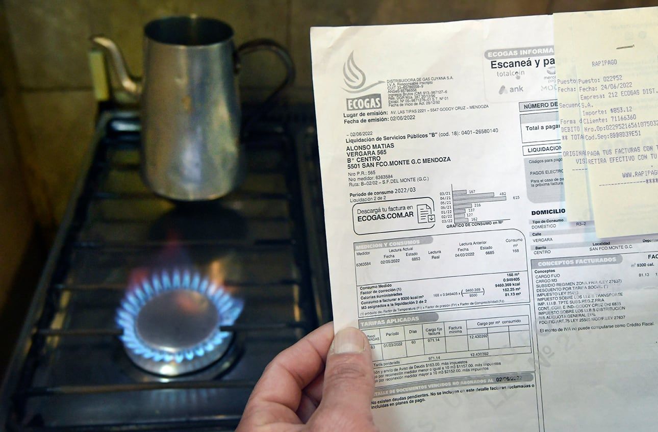 El precio de los servicios como el gas o la luz son lo que más creció dentro del gasto familiar. Foto: Los Andes