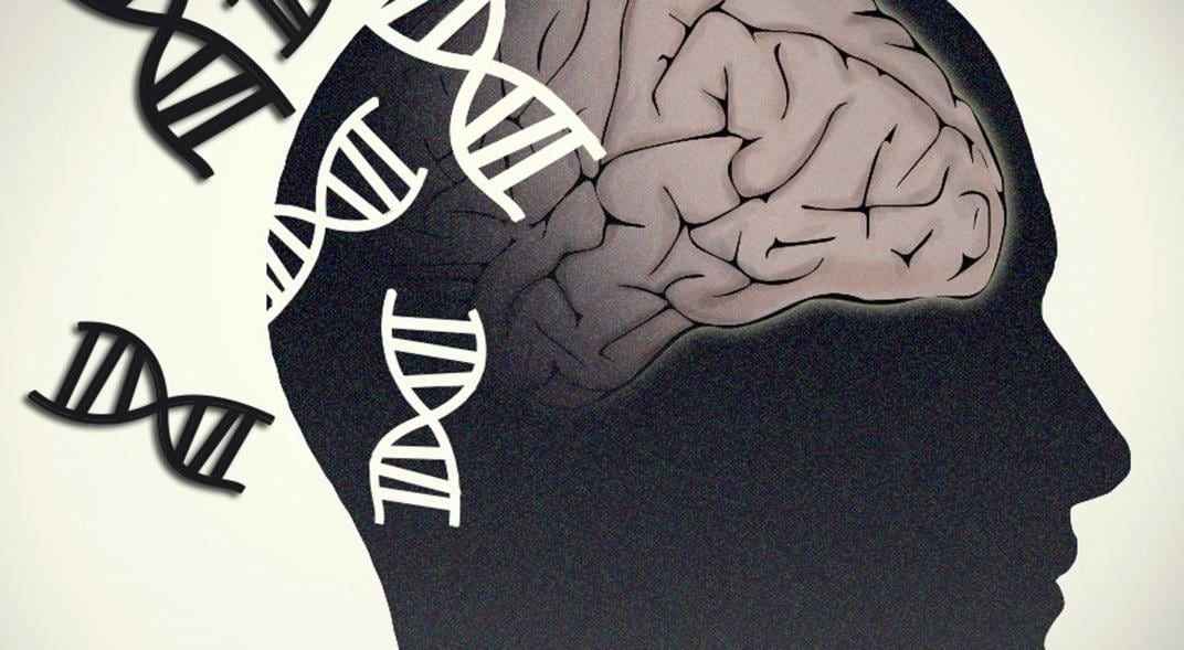 Alzheimer, Parkinson. Cerebro y genética. (Flicker/National Human Genome RE/Europa Press/DPA)