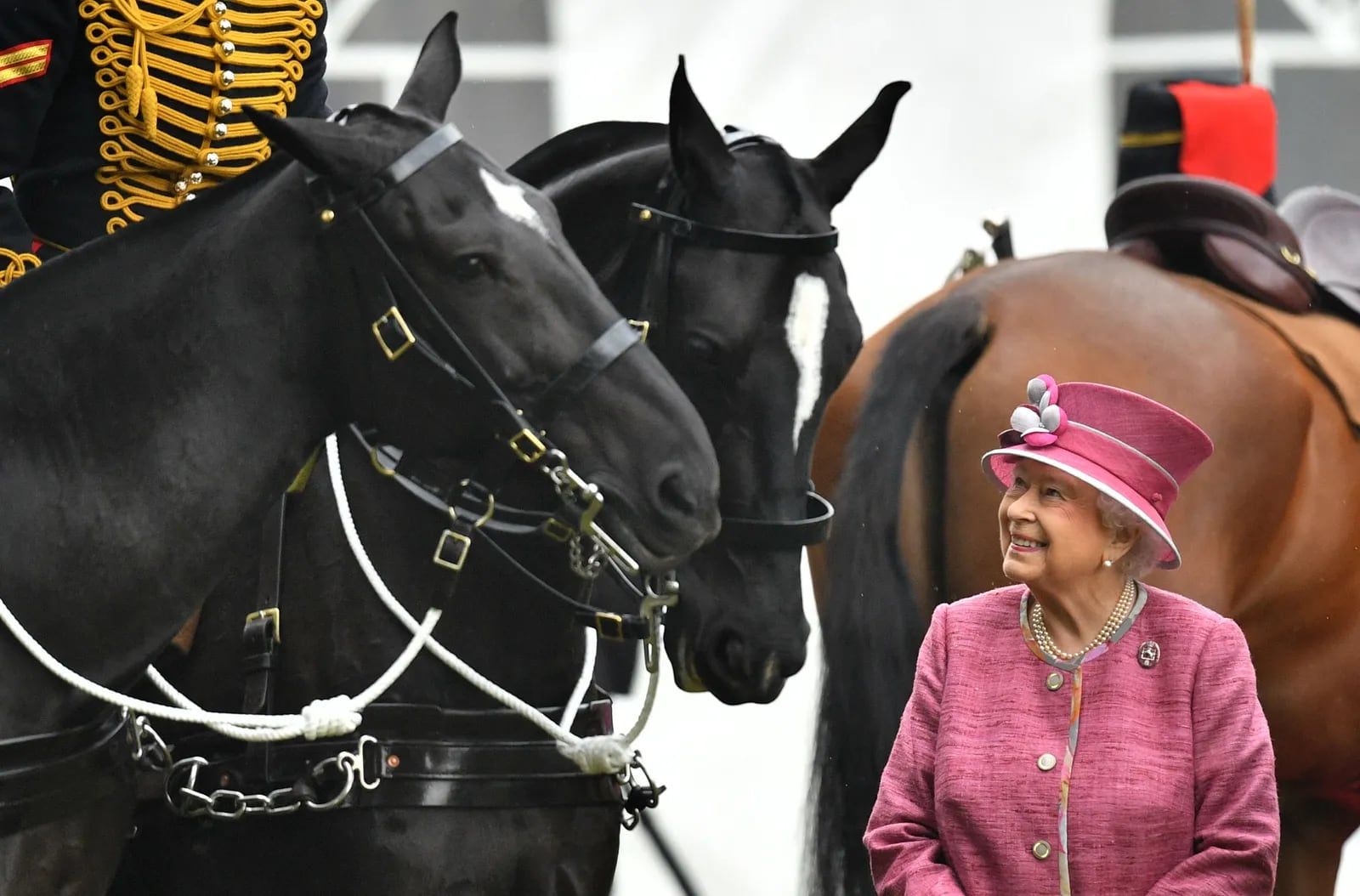 La reina Isabel II y los caballos, una verdadera historia de amor.