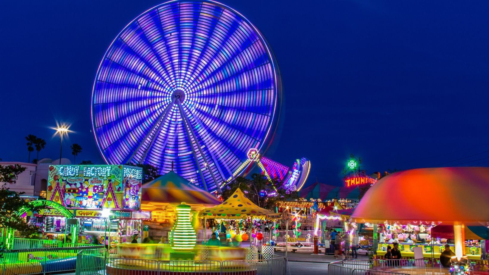 Siete profesiones “raras” que pocos saben que existen: cuáles son y ...
