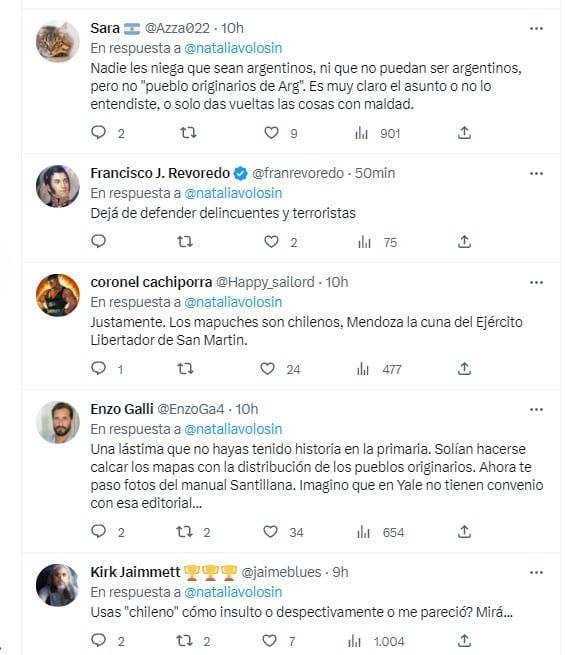 Críticas a la periodista Natalia Volosin por su tuit contra mendocinos (Twitter)