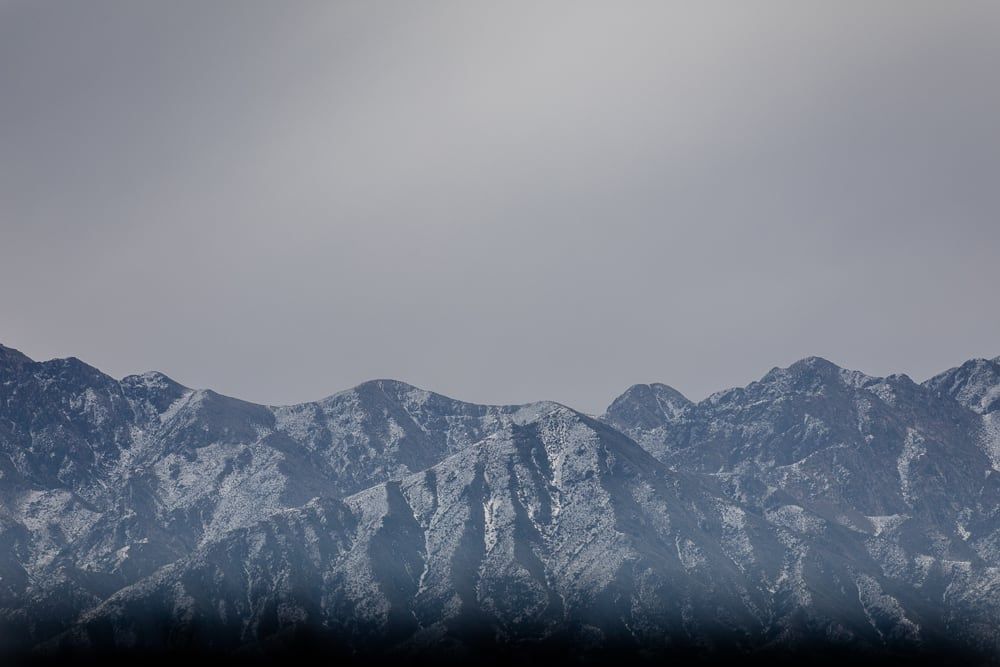 Sala Degustación Técnica