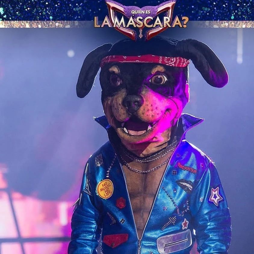 Therry, el perro rockero