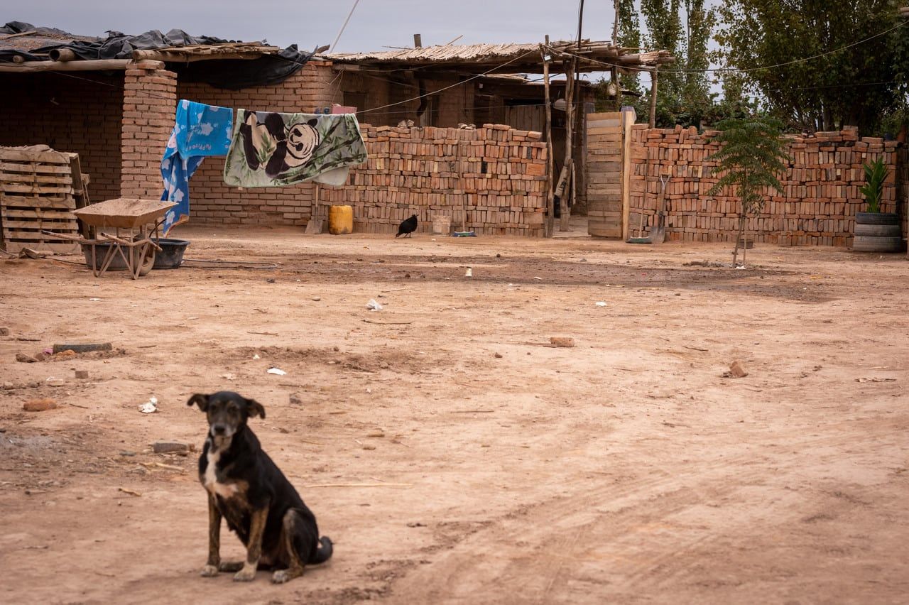 El déficit cualitativo en viviendas habría aumentado: lo que significa que muchas de estas edificaciones son de baja calidad y hechas en condiciones dudosas.

Foto: Ignacio Blanco / Los Andes 