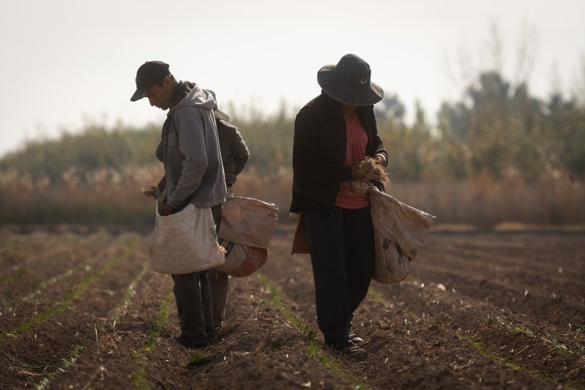 Asociaciones del sector público y privado trabajan en conjunto para combatir la precariedad en el agro. Foto: Ignacio Blanco / Los Andes