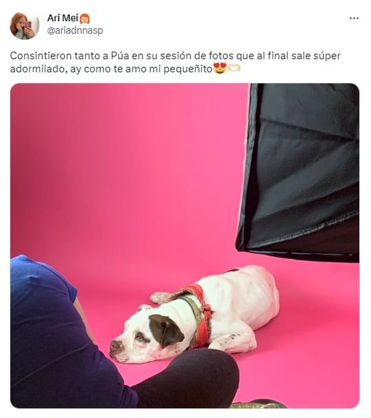 En increíble antes y después de Pua - Fotos @ariadnnasp