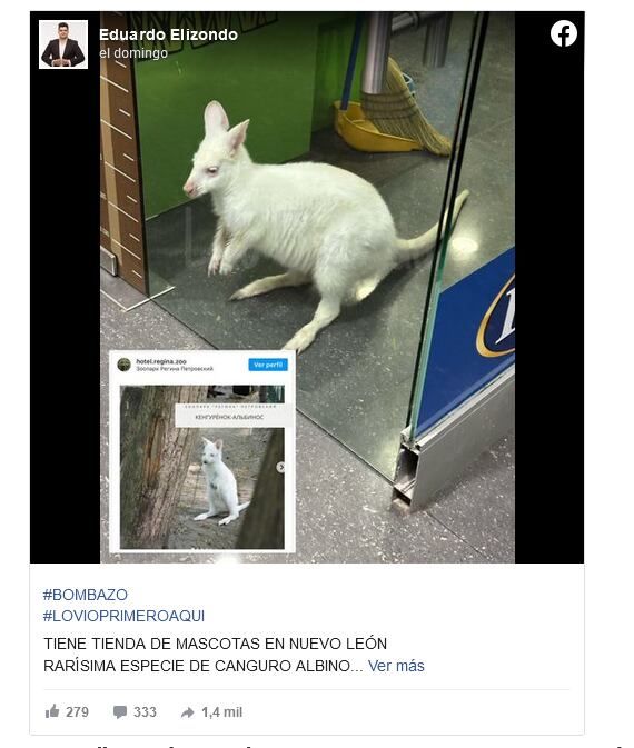 En las redes escracharon a una tienda de mascotas por tener un ejemplar solo para que los clientes se saquen fotos con él.