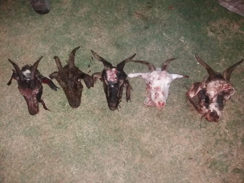 
Gentileza / Prensa Seguridad
