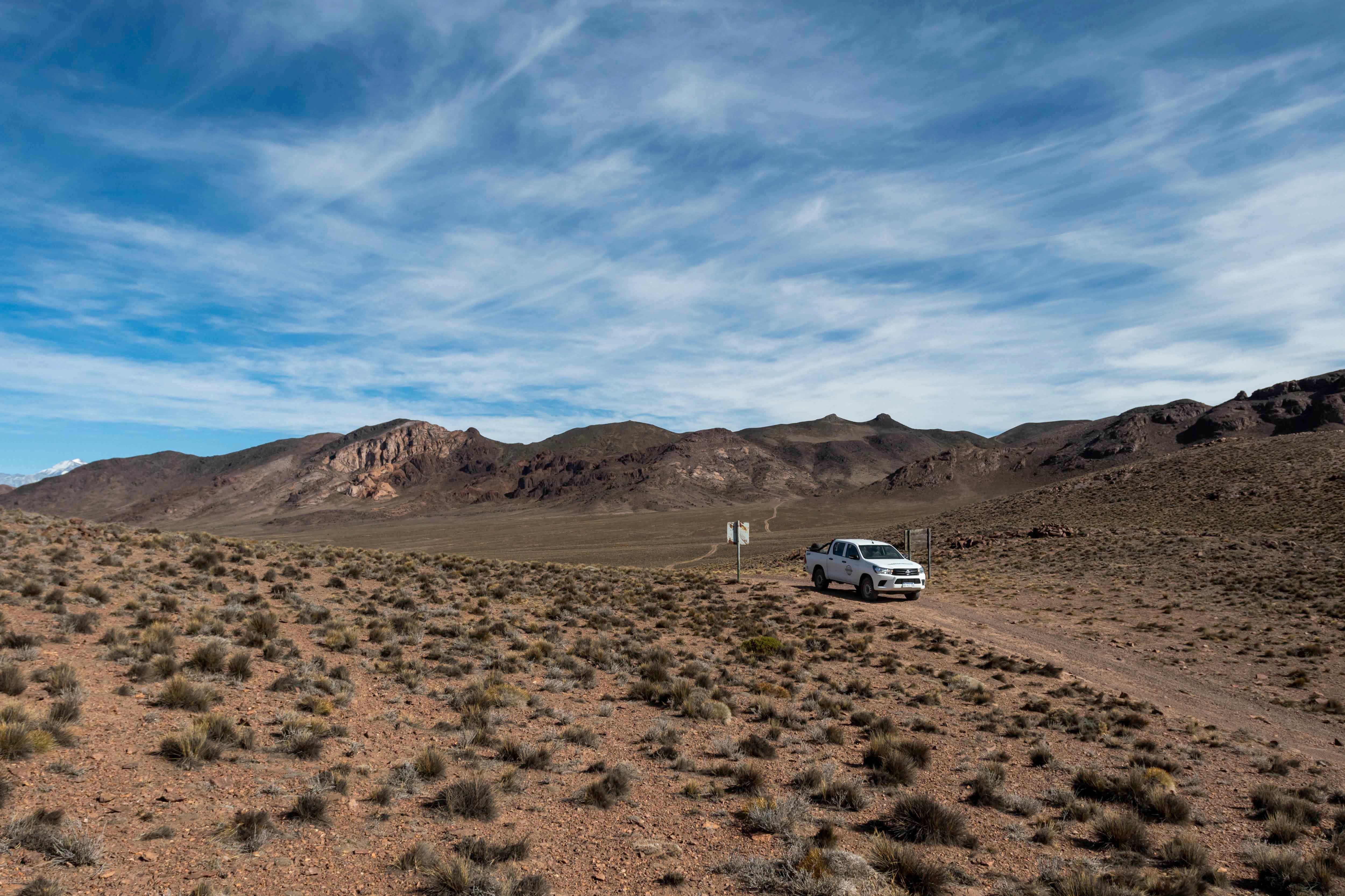 Mendoza 10 de junio de 2020 Sociedad, Reserva Natural Villavicencio, Pampa de Canota.  El cuerpo de Guardaparques de la Reserva Natural Villavicencio realiza un atrabajo de conservacion y prevencion de la caceria ilegal. Gracias a este trabajo se comenzo a recuperar la poblacion de las destintas especies que habitan la montana mendocina.      Foto: Ignacio Blanco / Los Andes Zorro