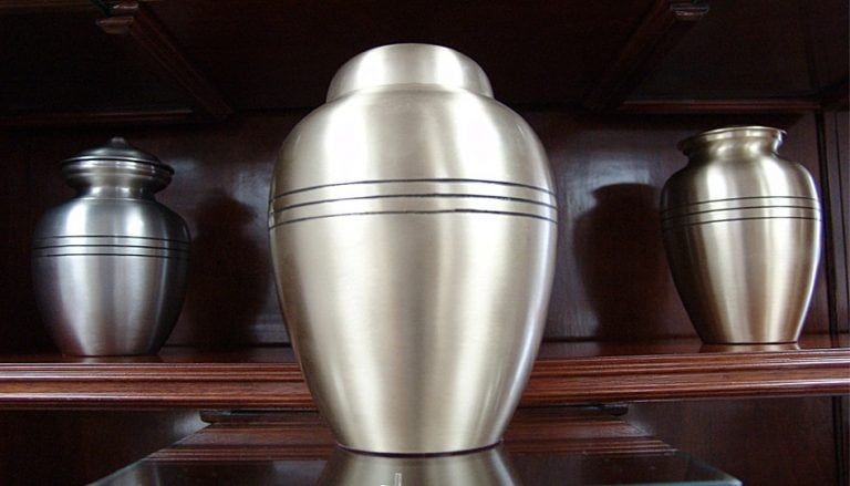 Descansa en paz: crece la tendencia de cremar a las mascotas fallecidas y algunos veterinarios lo recomiendan. | Imagen ilustrativa