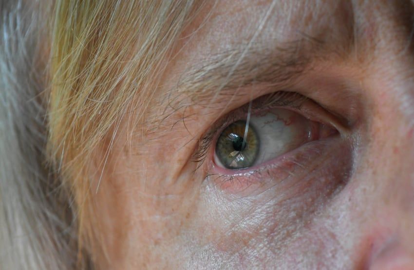 
    Orlando Pelichotti / Los Andes
   