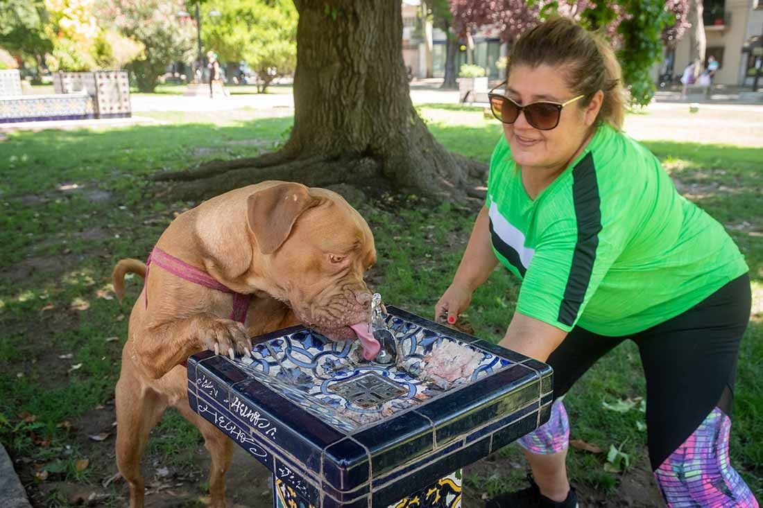 ¿Cómo estará el tiempo en Mendoza? Foto: Ignacio Blanco / Los Andes