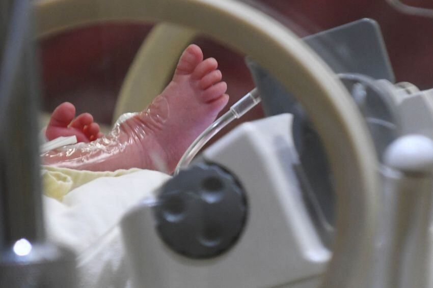 
    Marcelo Rolland / Los Andes
   