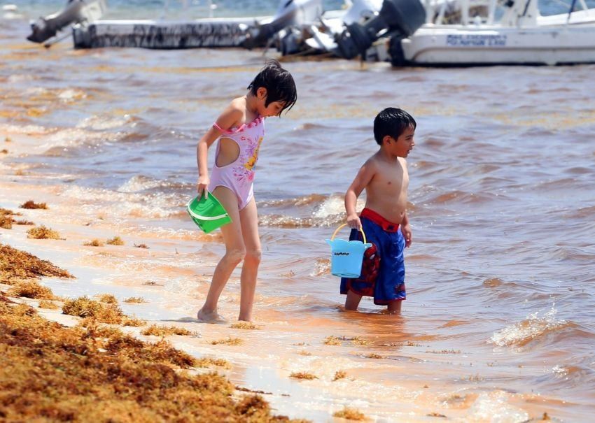 También ha producido daños económicos en el turismo y la pesca | AFP