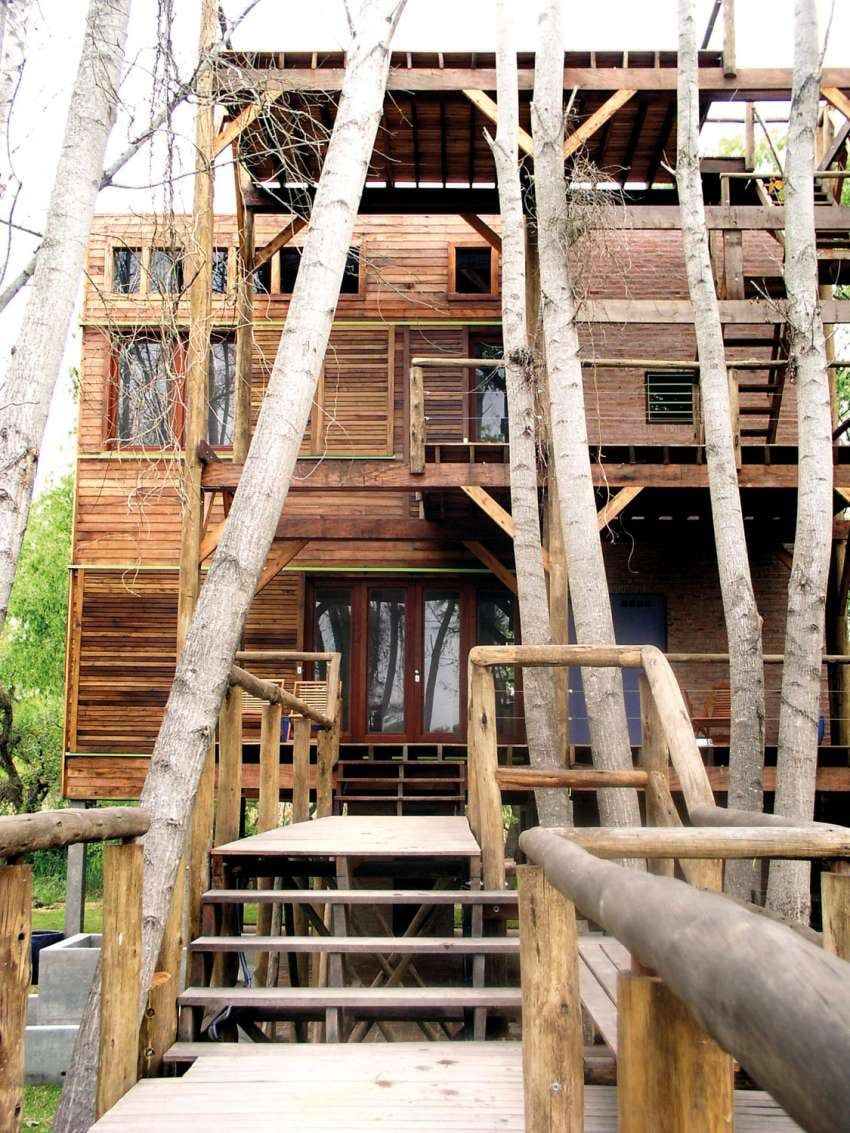 
    Casa del Árbol por Elisa Gerson Arquitectos / Foto: Gustavo Sosa Pinilla, Elisa Gerson.
   