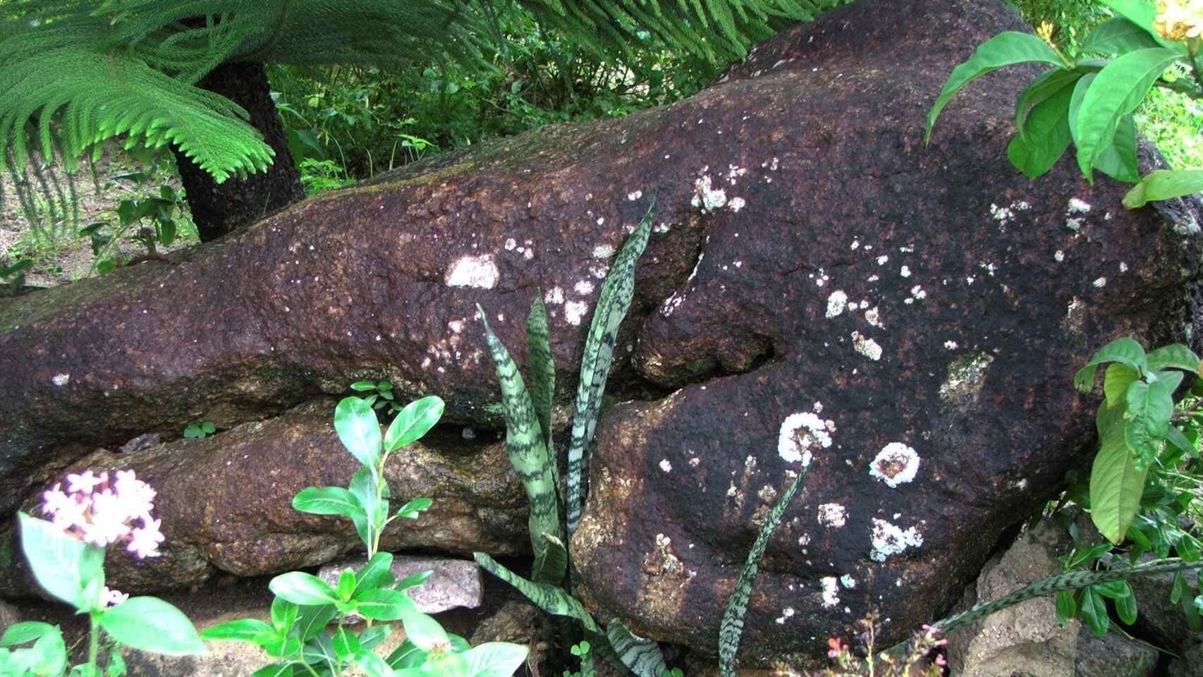 Supuestas marcas piratas en una roca de la playa Bel Ombre, en la isla de Mahé -