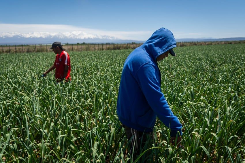 
    Ignacio Blanco / Los Andes
   