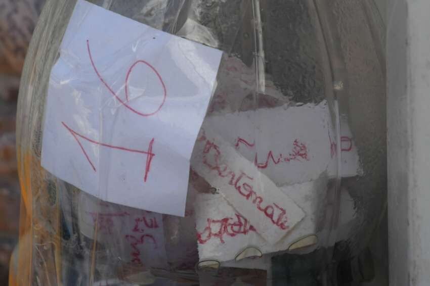 
    Orlando Pelichiotti / Los Andes
   