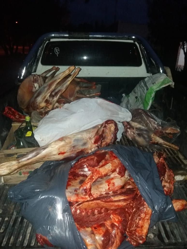 
Gentileza / Prensa Seguridad
