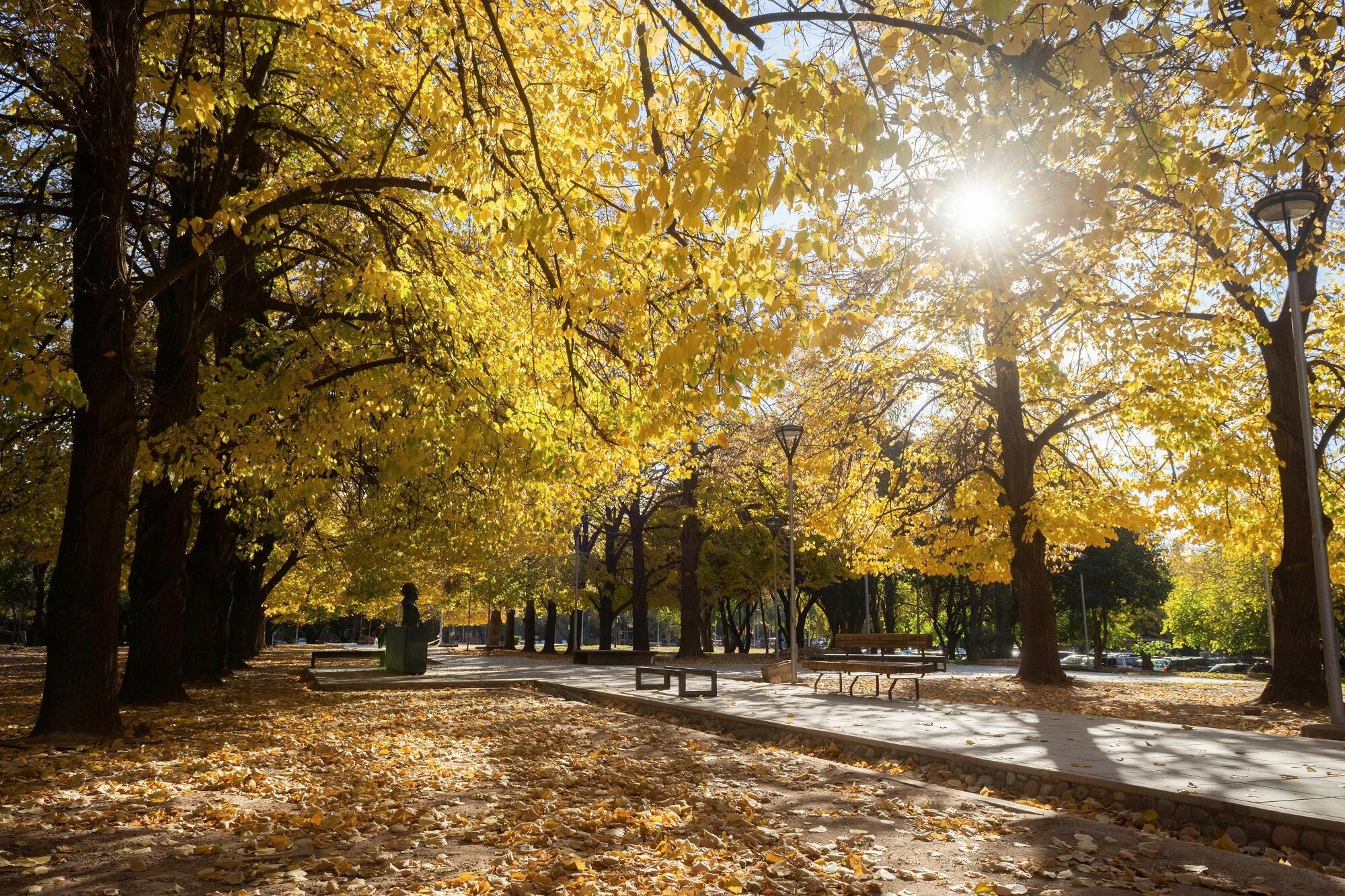 ¿Siguen los días cálidos? Así estará el tiempo este miércoles en Mendoza