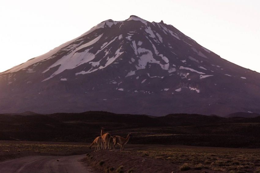 
Foto: Ignacio Blanco
