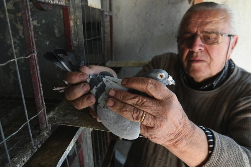 José Gutiérrez / Los Andes