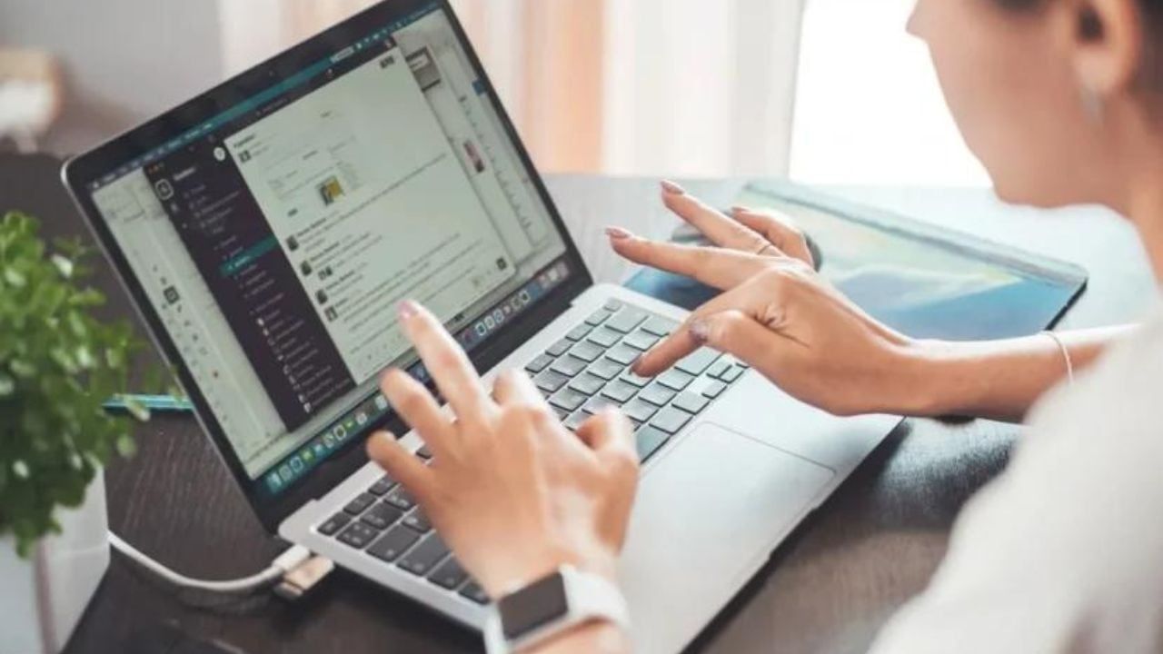 Desarrollador: “Concibe o implementa programas informáticos”.