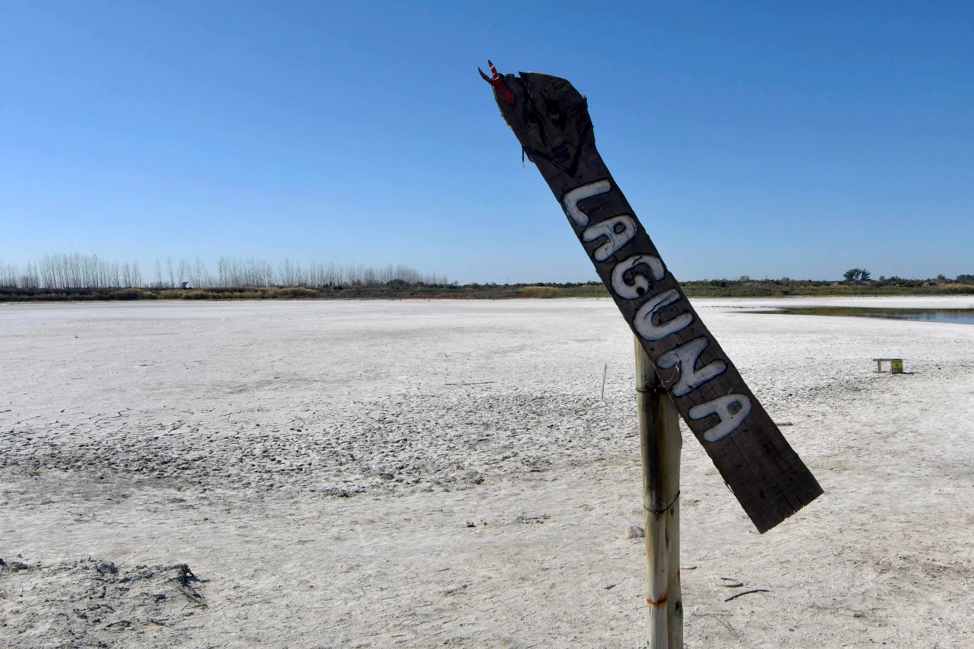 La era de la Ebullición Global: cómo trabajan los municipios del Gran Mendoza para adaptarse y mitigarla. Foto: Orlando Pelichotti / Los Andes.