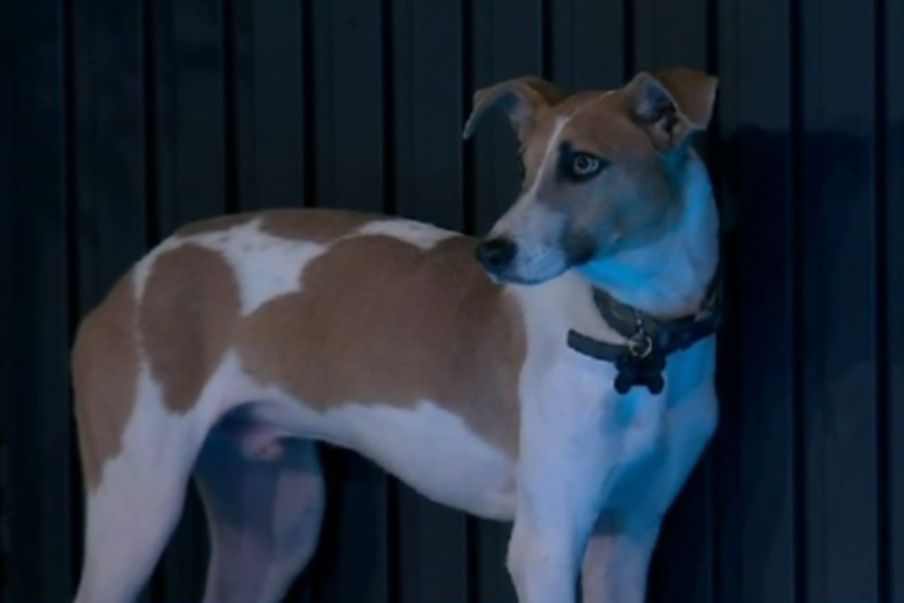 Arturo ingresó a Gran Hermano en una emotiva bienvenida