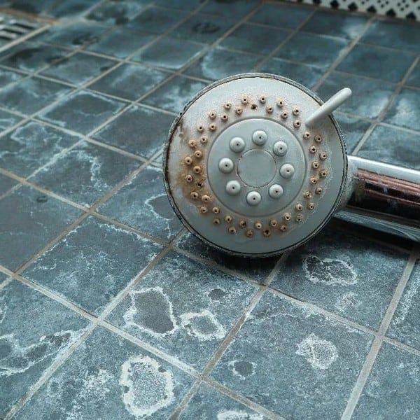 La fácil manera de eliminar el sarro de la ducha.