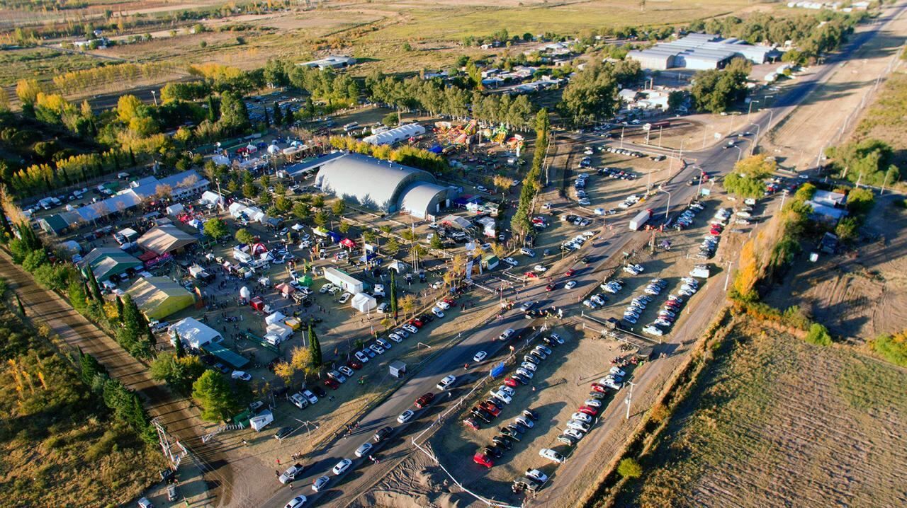 Fiesta de la Ganadería.
